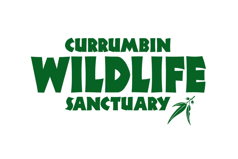 Currumbin Sanctuary Logo